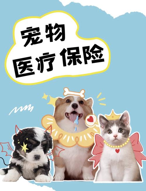 有哪些比较靠谱的宠物保险推荐? 有哪些比较靠谱的宠物保险推荐?