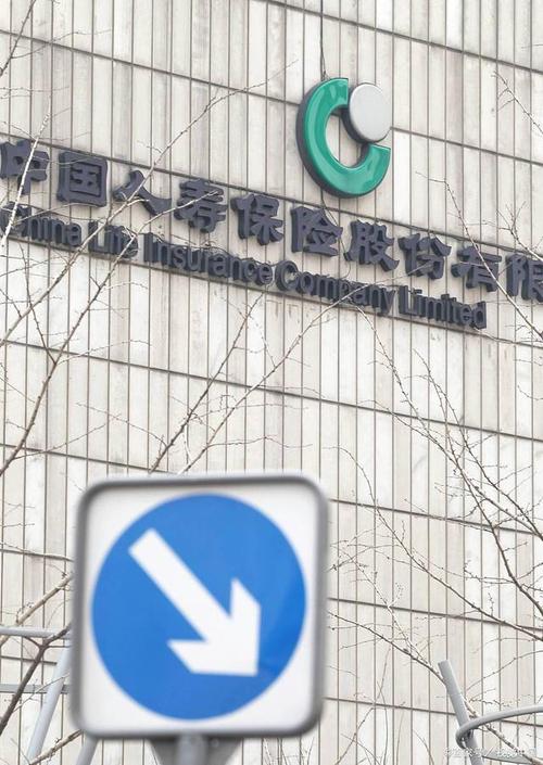 人寿险是什么概念