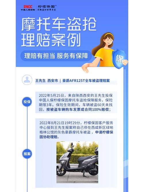 盗抢险是什么意思