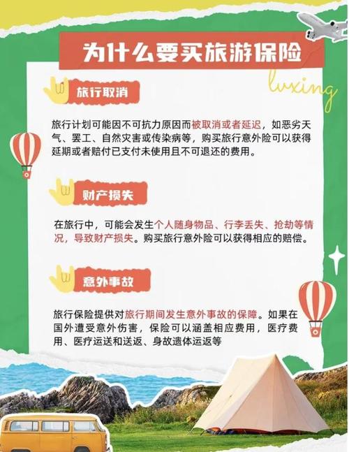 保险能全额退保吗?