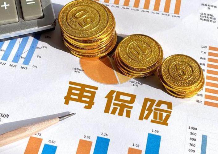 再保险.共同保险,复合保险.重复保险的区别是什么?