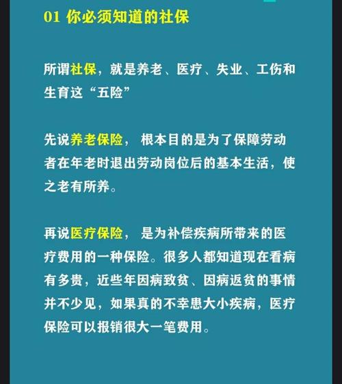 合肥养老险个人账户怎么查询