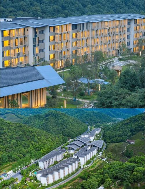 泰康养老是国企吗