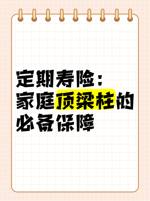 什么是定期寿险?