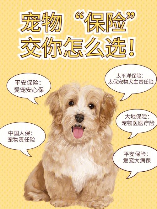 宠物医保生效时间