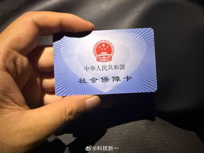 社保查询网入口