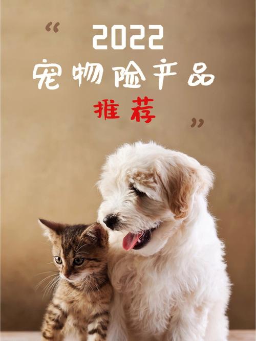 养宠物的看过来,宠物险的最全知识来了,记得收藏