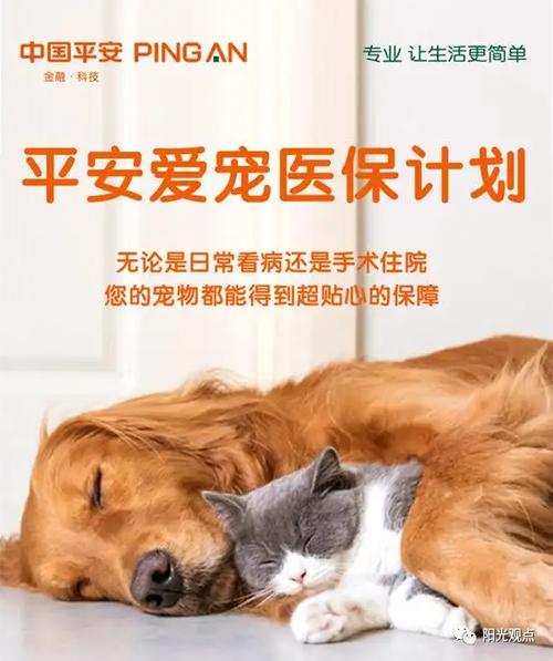 养宠物的看过来,宠物险的最全知识来了,记得收藏